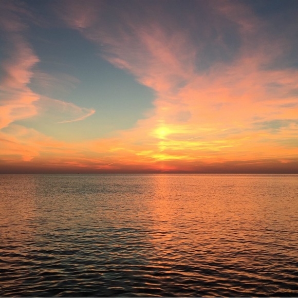 Meet your Posher, Ethan - Picture 1 of 1